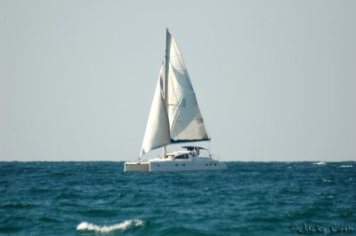 Sailing boat (Catamaran)