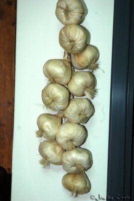 Garlic for good luck