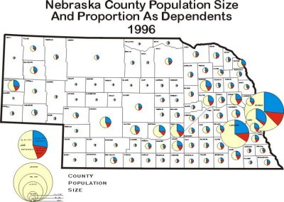 Population Change by Age by County 1996