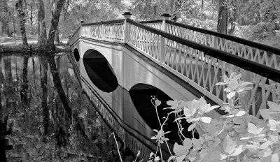 Magnolia gardens bridge