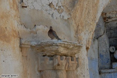 Jerusalem_203.JPG