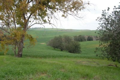 DSC_0447.JPG