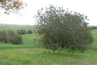 DSC_0448.JPG