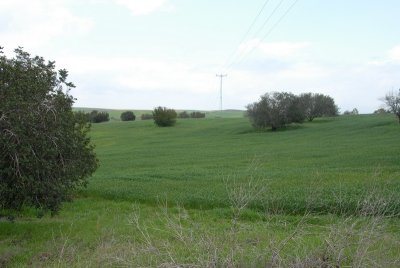 DSC_0449.JPG