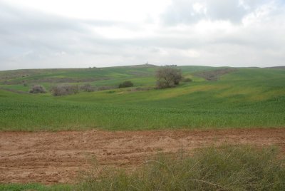 DSC_0455.JPG