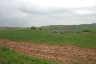 DSC_0456.JPG