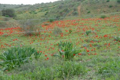 DSC_0473.JPG