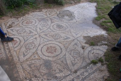 DSC_0527.JPG
