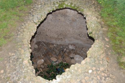 DSC_0530.JPG