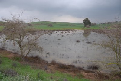 DSC_0533.JPG