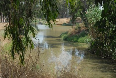 DSC_0435.JPG
