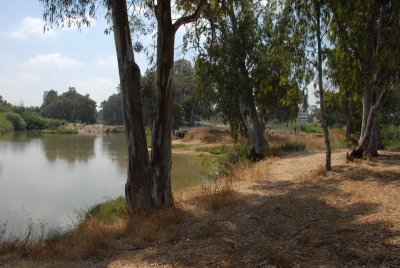 DSC_0449.JPG