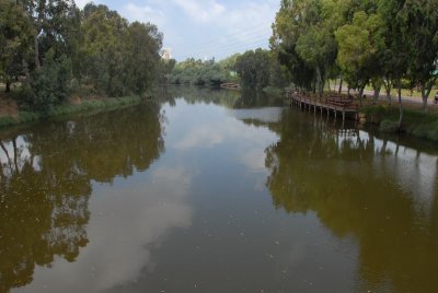 DSC_0465.JPG