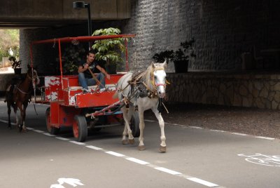 DSC_0470.JPG