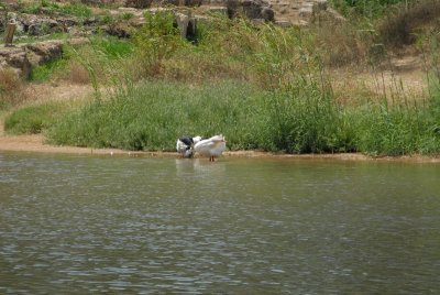 DSC_0489.JPG
