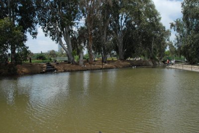 DSC_0494.JPG