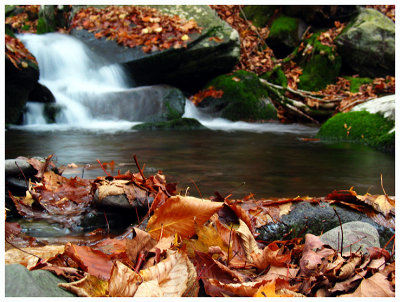 Stream Shot