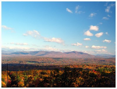 Roadside Catskill View