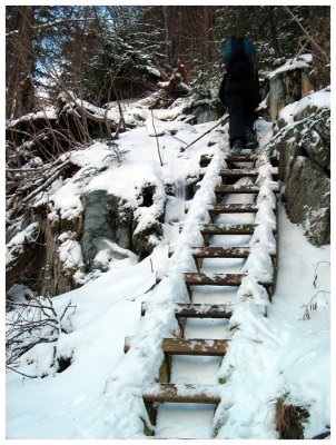 Ladder Beside Beaver Brook Falls