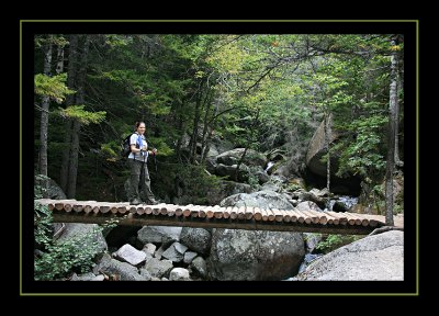 Hitting the Trail