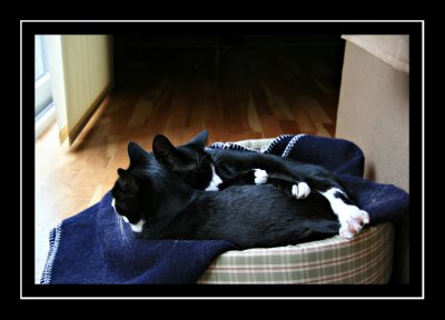 Lucy and Linus