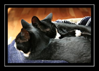 Lucy and Linus