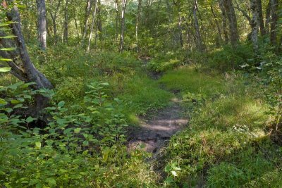20070925_153523.jpg