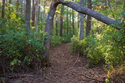 20070925_163857.jpg