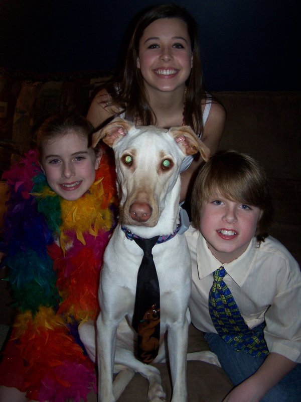 Oscar Night 2007<br>Molly Elley Kaity Riley<br>Elleys Guy Glamour Shot