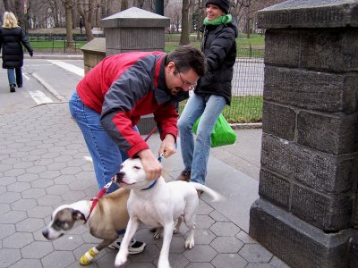 Jeff makes the dog-walker's life more difficult.