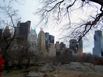 Skyline View from Central Park