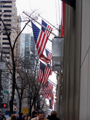 Flags on Fifth Avenue
at half mast in memoriam of President Ford.