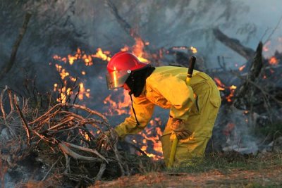 Controlled burn 11/18/06