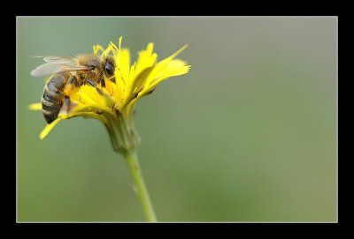 02-09-2006 - 036_filtered.jpg