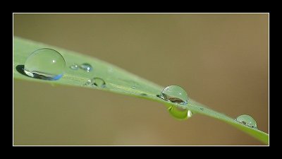 03-11-2006 - 028_filtered.jpg