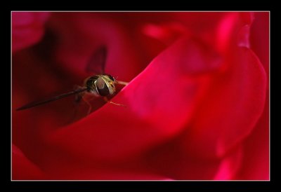 11-10-2006 - 004_filtered.jpg