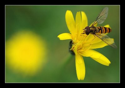 14-10-2006 - 025_filtered.jpg