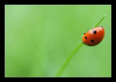 17-08-2006 - 018_filtered.jpg