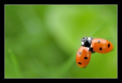 17-08-2006 - 025_filtered.jpg