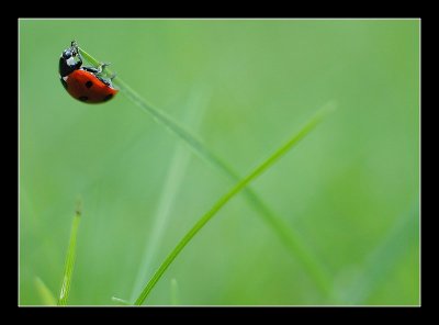 20-10-2006 - 115_filtered.jpg