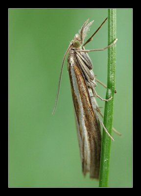 23-08-2006 - 026_filtered.jpg