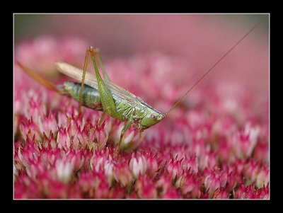 23-09-2006 - 179_filtered.jpg