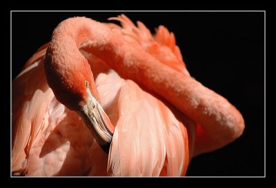 26-08-2006 - 048.jpg