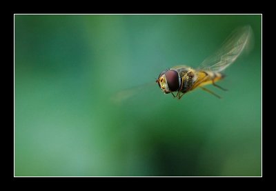 15-07-2006 - 221_filtered.jpg