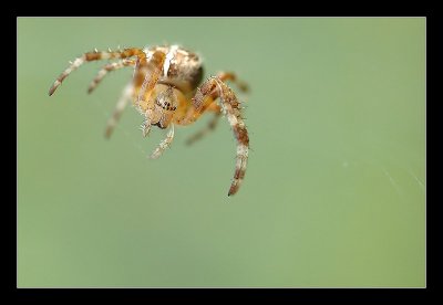 17-08-2006 - 127_filtered.jpg