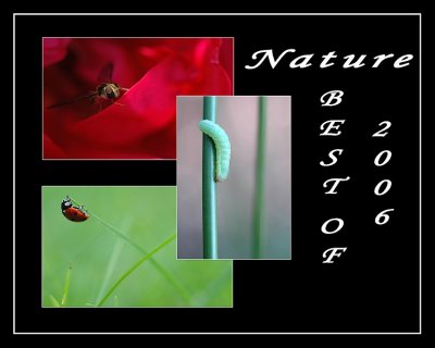 Best Of 2006 - Nature