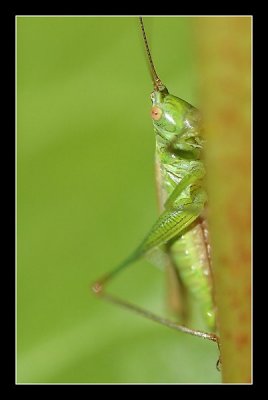 20-09-2006 - 052_filtered.jpg