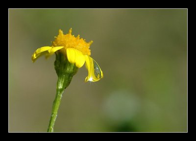 18-07-2006 - 156_filtered.jpg