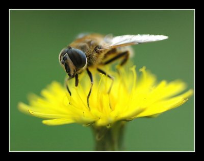 16-09-2006 - 004_filtered.jpg