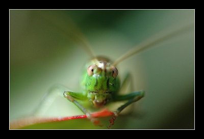 23-09-2006 - 221_filtered.jpg